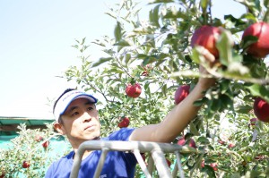 生産者顔写真（夫）